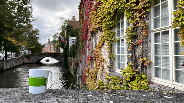 Hammerteichbecher Alpen