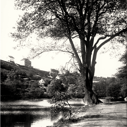 Blick Richtung Parkweg