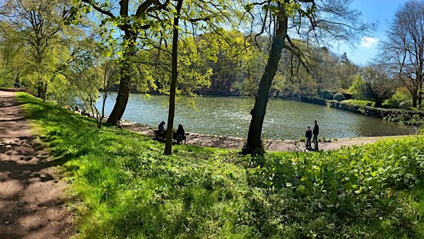Frühling am Hammerteich