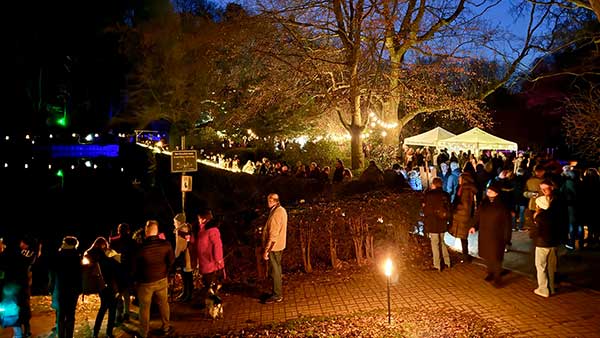 Leuchten und Glühen 4 am Teich