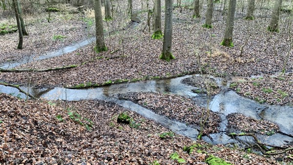 Zufluss_Normalwasser