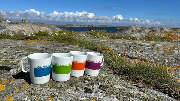 Hammerteichbecher Pool