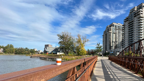 Hammerteichbecher Waterloo