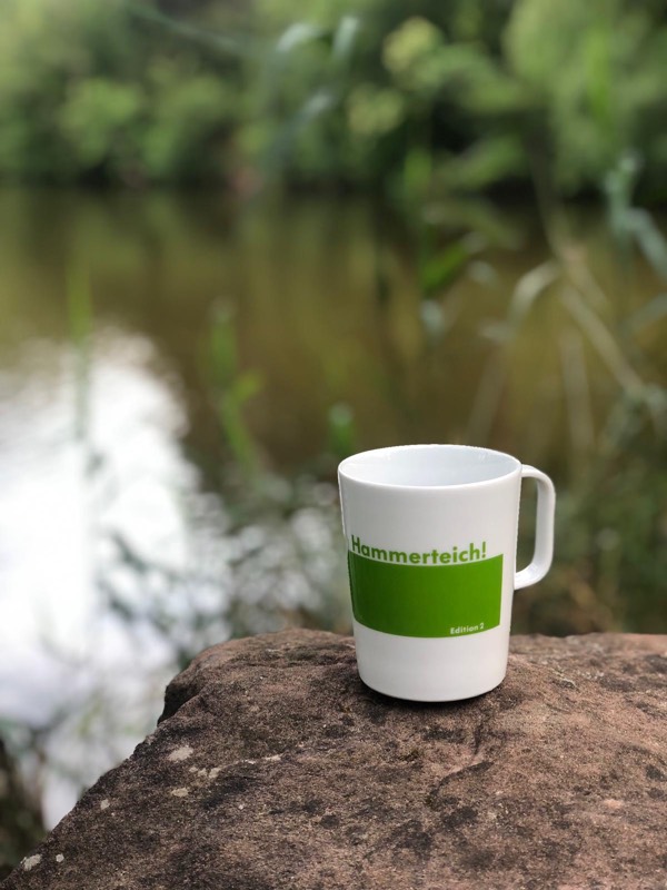 Hammerteichbecher Vogesen 1