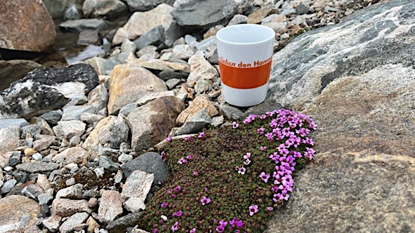 Hammerteichbecher Felsen