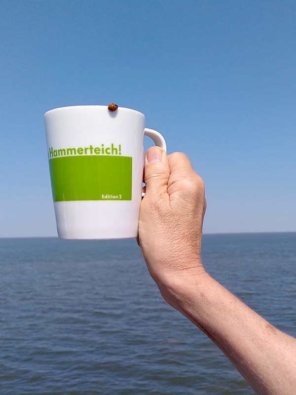 Hammerteichbecher Käfer