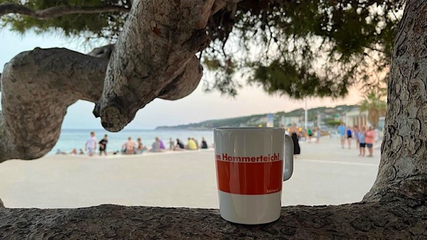 Hammerteichbecher Schlucht