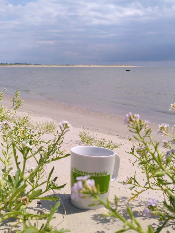 Hammerteichbecher Nordsee 2