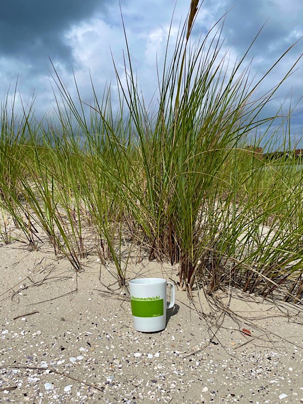 Hammerteichbecher Düne